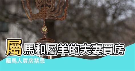 屬馬買房座向|屬馬的住幾層樓最好 助屬馬人一帆風順的最佳樓層